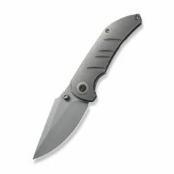 WEKNIFE Riff-Raff Thumb Stud Knife Titanium Handle (3.12" CPM 20CV Blade) WE22020B-3 -WE KNIFE Sales weknife riff raff thumb stud knife gray titanium handle 312 gray stonewashed cpm 20cv blade we22020b 3 169880