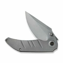 WEKNIFE Riff-Raff Thumb Stud Knife Titanium Handle (3.12" CPM 20CV Blade) WE22020B-3 -WE KNIFE Sales weknife riff raff thumb stud knife gray titanium handle 312 gray stonewashed cpm 20cv blade we22020b 3 468666