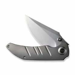 WEKNIFE Riff-Raff Thumb Stud Knife Titanium Handle (3.12" CPM 20CV Blade) WE22020B-4 -WE KNIFE Sales weknife riff raff thumb stud knife polished bead blasted titanium handle 312 polished bead blasted cpm 20cv blade we22020b 4 387487